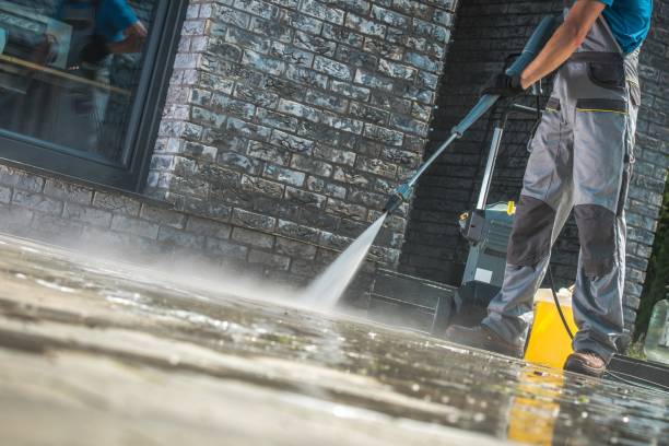 Animal Enclosure Cleaning in Lake Sarasota, FL